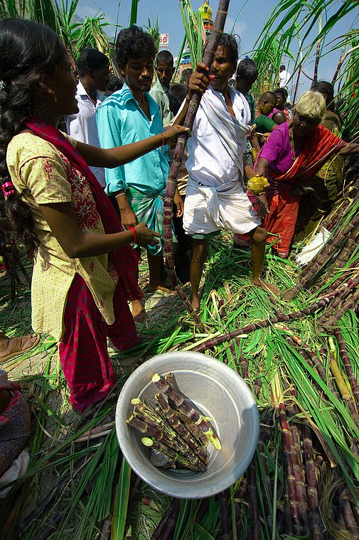 Mężczyzna kupuje trzcinę cukrową (Karthigai Deepam 2011)